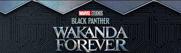 Black Panther Wakanda Forever