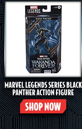 Marvel Legends Series Black Panther Action Figure : Target