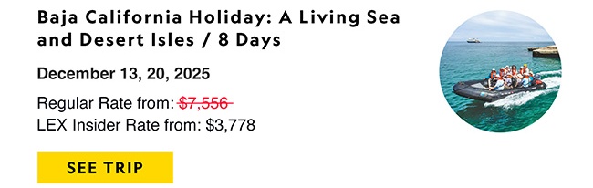 Baja California Holiday: A Living Sea and Desert Isles / 8 Days